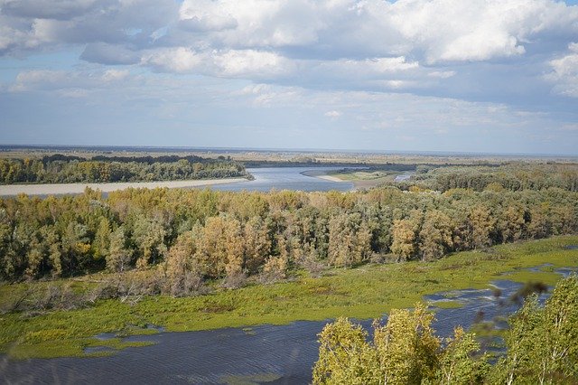 Téléchargement gratuit de Pond Swamp Autumn - photo ou image gratuite à modifier avec l'éditeur d'images en ligne GIMP