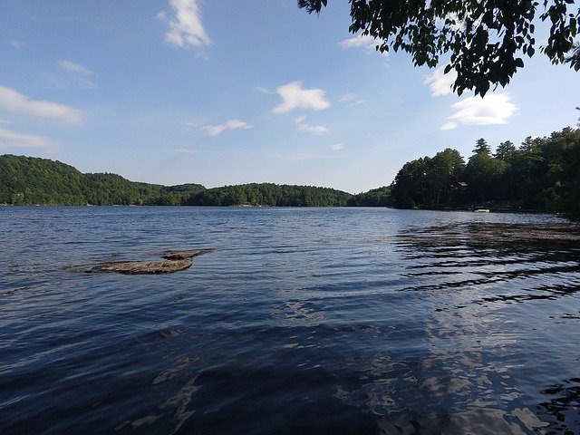 تنزيل Pond Vermont Nature مجانًا - صورة مجانية أو صورة لتحريرها باستخدام محرر الصور عبر الإنترنت GIMP