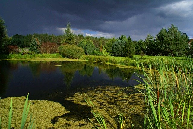 मुफ्त डाउनलोड तालाब गांव प्रकृति - जीआईएमपी ऑनलाइन छवि संपादक के साथ संपादित करने के लिए मुफ्त फोटो या तस्वीर