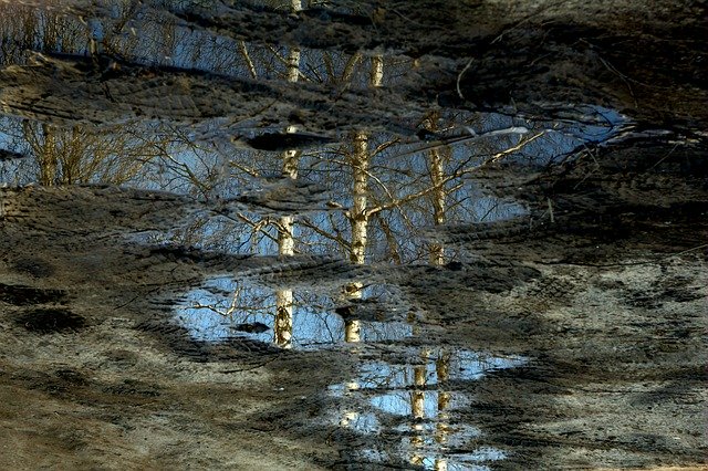 Free download Pool Reflection Mirror -  free photo or picture to be edited with GIMP online image editor