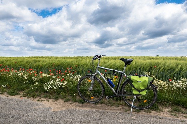 Free download poppy chamomile bicycle free picture to be edited with GIMP free online image editor