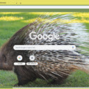 Porcupine  screen for extension Chrome web store in OffiDocs Chromium