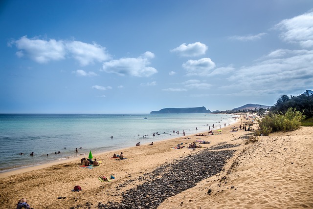 Free download porto santo island wood costa sea free picture to be edited with GIMP free online image editor