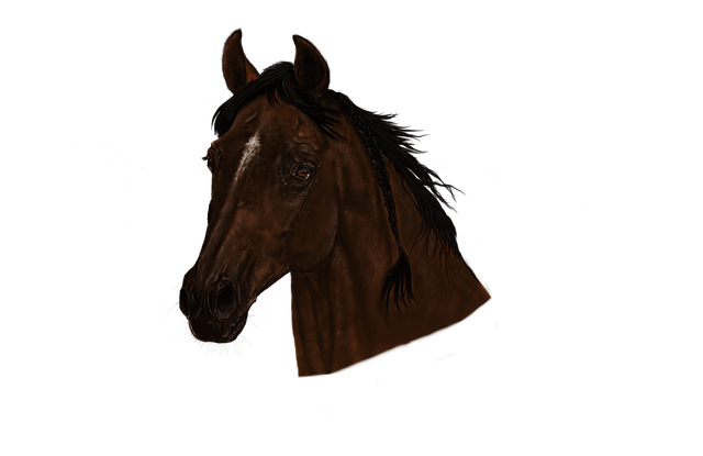 Free download Portrait Horse Head -  free illustration to be edited with GIMP free online image editor