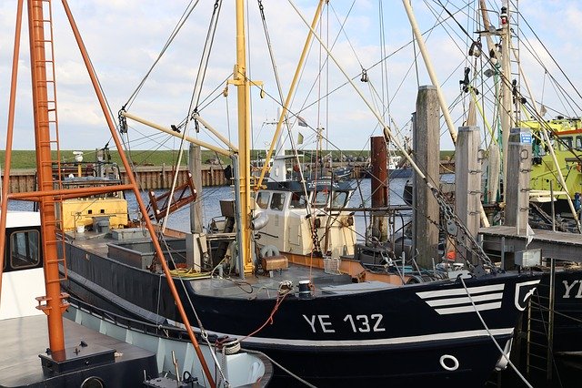 Free download Port Yerseke Holland Fishing -  free photo or picture to be edited with GIMP online image editor