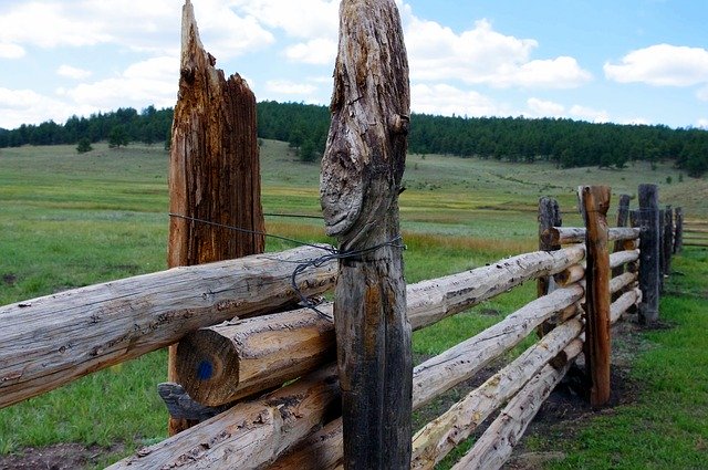 Gratis download Post And Rail Fence - gratis foto of afbeelding om te bewerken met GIMP online afbeeldingseditor