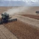 Post harvest field  screen for extension Chrome web store in OffiDocs Chromium