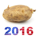 Potato for President 2016  screen for extension Chrome web store in OffiDocs Chromium