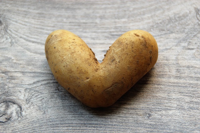 Free download Potato Heart Love free photo template to be edited with GIMP online image editor