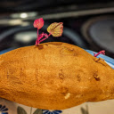 Potato tubers and purple sprouts  screen for extension Chrome web store in OffiDocs Chromium