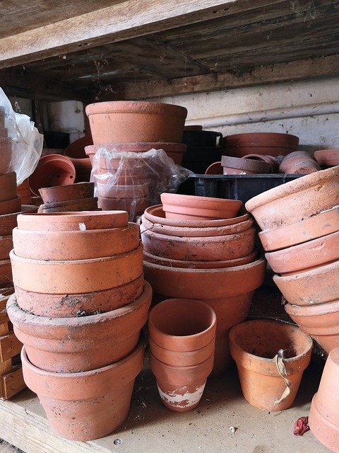 ດາວໂຫລດຟລີ Pots Flower - ຮູບພາບຫຼືຮູບພາບທີ່ບໍ່ເສຍຄ່າເພື່ອແກ້ໄຂດ້ວຍຕົວແກ້ໄຂຮູບພາບອອນໄລນ໌ GIMP