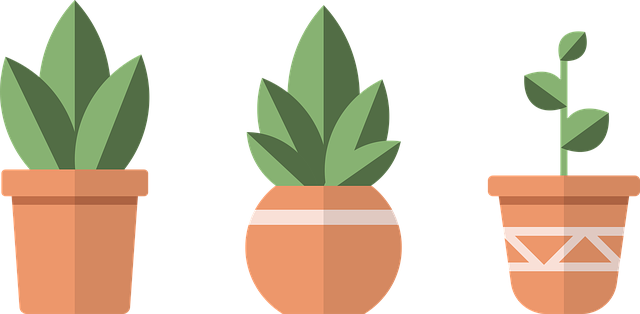 Free download Pots Plants Green -  free illustration to be edited with GIMP free online image editor