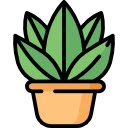 Potted Plant Pattern  screen for extension Chrome web store in OffiDocs Chromium Potted Plant Pattern  screen for extension Chrome web store in OffiDocs Chromium