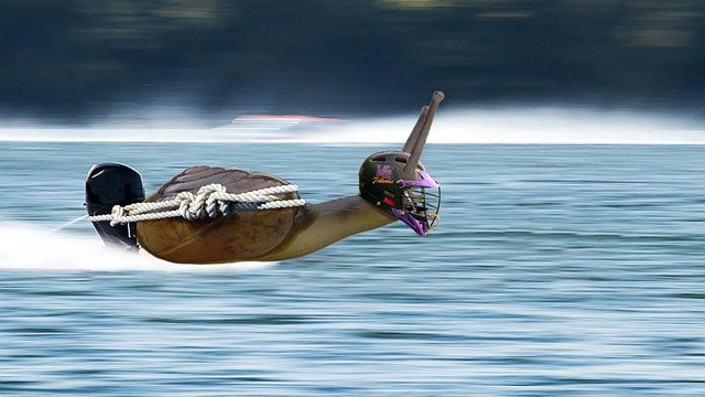 Gratis download Powerboat Snail Racing Boat - gratis foto of afbeelding om te bewerken met GIMP online afbeeldingseditor