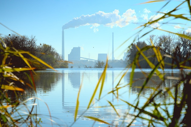 Scarica gratuitamente l'immagine gratuita di Power Plant Lake Plants Sun Heaven da modificare con l'editor di immagini online gratuito GIMP
