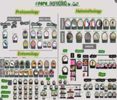 Free download Practical Para Ta7shish By ZaD free photo or picture to be edited with GIMP online image editor