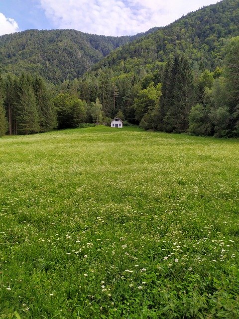 Free download Prato Flowers House -  free photo or picture to be edited with GIMP online image editor