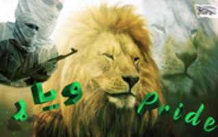 Free download Pride free photo or picture to be edited with GIMP online image editor