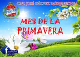Free download PRIMAVERA JGB free photo or picture to be edited with GIMP online image editor