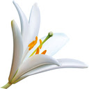 Primrose  screen for extension Chrome web store in OffiDocs Chromium