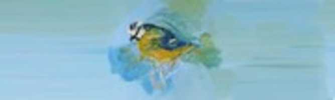 Free download Prison Arts Foundation free photo or picture to be edited with GIMP online image editor