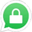 Privacy Protector 1.0  screen for extension Chrome web store in OffiDocs Chromium