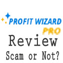 Profit Wizard Pro Review  screen for extension Chrome web store in OffiDocs Chromium