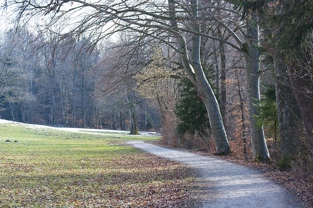 Free download Promenade Away Path -  free photo or picture to be edited with GIMP online image editor