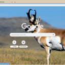 Pronghorn  screen for extension Chrome web store in OffiDocs Chromium