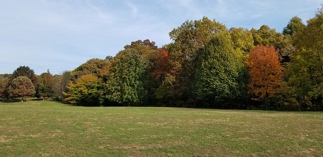 Muat turun percuma Prospect Park Brooklyn Fall - foto atau gambar percuma untuk diedit dengan editor imej dalam talian GIMP