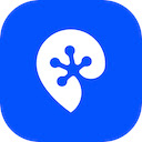 Proxy Cheap Proxy Manager  screen for extension Chrome web store in OffiDocs Chromium
