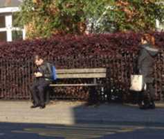 Free download Public Bench free photo or picture to be edited with GIMP online image editor