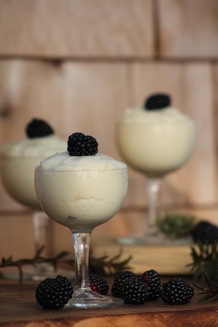 Free download pudding berries fruit blackberries free picture to be edited with GIMP free online image editor