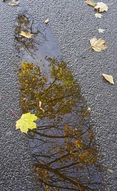 Template Photo Puddle Rain Wet -  for OffiDocs