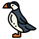 Puffin in Motion  screen for extension Chrome web store in OffiDocs Chromium