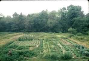 Free download Pulsa Gardens Harmony Ranch 1970 free photo or picture to be edited with GIMP online image editor