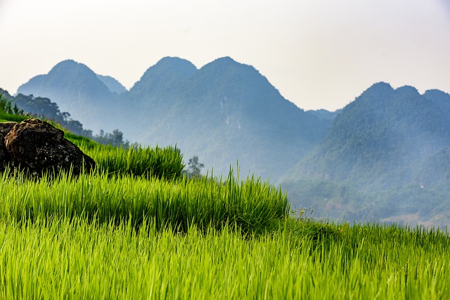 Free download pu luong nature reserve free picture to be edited with GIMP free online image editor
