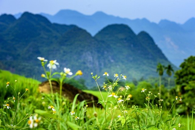 Free picture Pu Luong Nature Reserve Thanhhoa -  to be edited by GIMP free image editor by OffiDocs