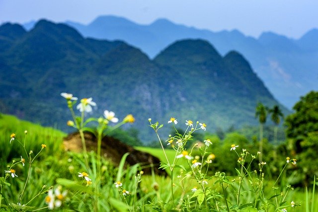 Descarga gratuita de la reserva natural de Pu Luong Thanhhoa: foto o imagen gratuitas para editar con el editor de imágenes en línea GIMP