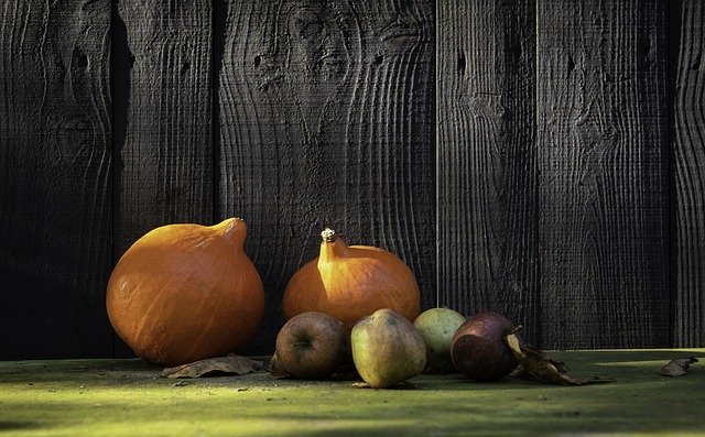 ดาวน์โหลดฟรี Pumpkin Autumn Autum - ภาพถ่ายหรือรูปภาพฟรีที่จะแก้ไขด้วยโปรแกรมแก้ไขรูปภาพออนไลน์ GIMP