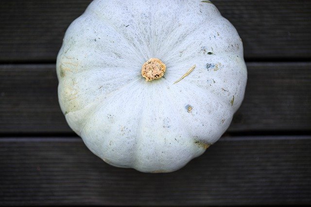 Free download Pumpkin Blue Ungar -  free photo or picture to be edited with GIMP online image editor