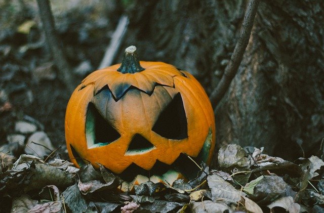 Téléchargement gratuit de l'image gratuite de sculpture de citrouille jack olantern à éditer avec l'éditeur d'images en ligne gratuit GIMP