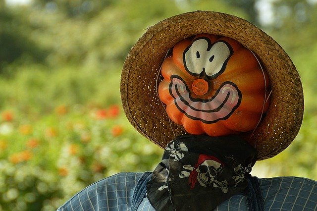 Free download Pumpkin Frightens Off Birds Farm -  free photo or picture to be edited with GIMP online image editor