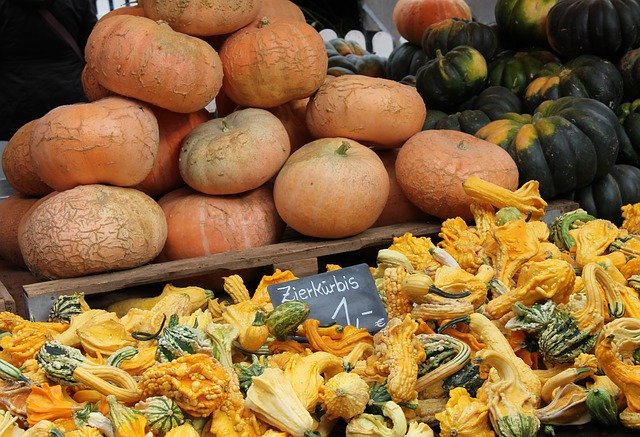 Descărcare gratuită Pumpkin Gourd Autumn - fotografie sau imagine gratuită pentru a fi editată cu editorul de imagini online GIMP