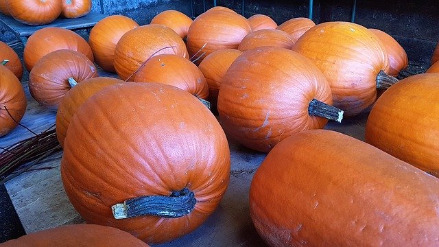 הורדה חינם Pumpkin Halloween Veg - תמונה או תמונה בחינם לעריכה עם עורך התמונות המקוון GIMP