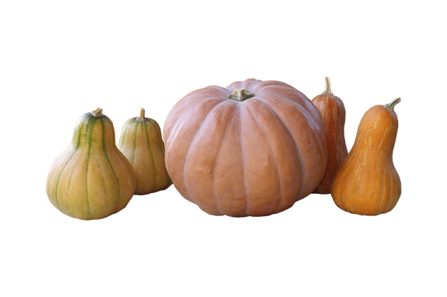 Download gratuito Pumpkin Harvest: foto o immagine gratuita da modificare con l'editor di immagini online GIMP