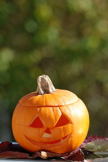 Kostenloser Download Kürbis Jack o Lantern Halloween kostenloses Bild, das mit dem kostenlosen Online-Bildeditor GIMP bearbeitet werden kann