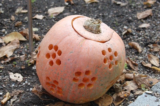 Bezpłatne pobieranie Pumpkin Lantern Halloween - darmowe zdjęcie lub obraz do edycji za pomocą internetowego edytora obrazów GIMP