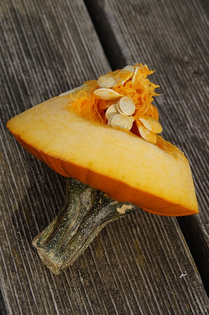 Free download pumpkin lid halloween fall orange free picture to be edited with GIMP free online image editor