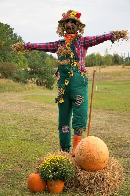 Muat turun percuma Pumpkin Orange Large - foto atau gambar percuma untuk diedit dengan editor imej dalam talian GIMP